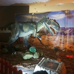 Meet your Posher, Wanda